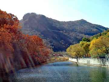 管家婆黑白马报图库，开天雷